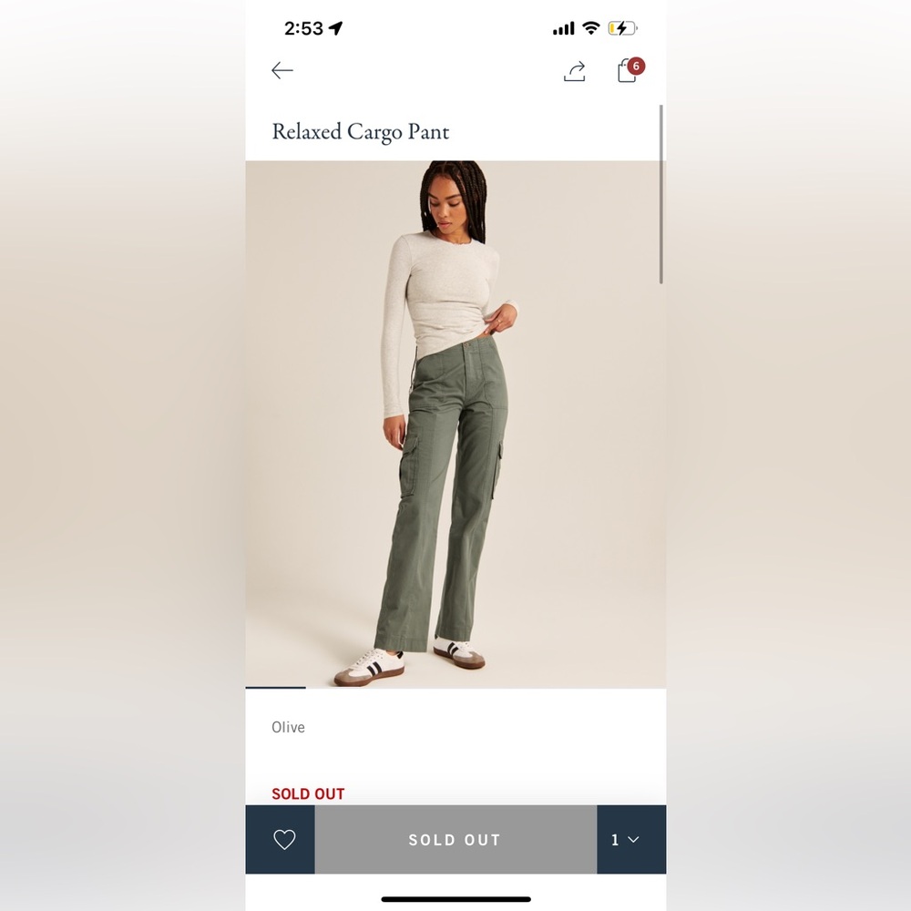 NWT Abercrombie & Fitch Relaxed Cargo Pant (olive green)